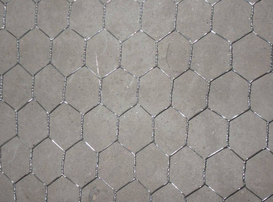 Hd Galvanized Stainless Steel Chicken Wire Mesh W2m