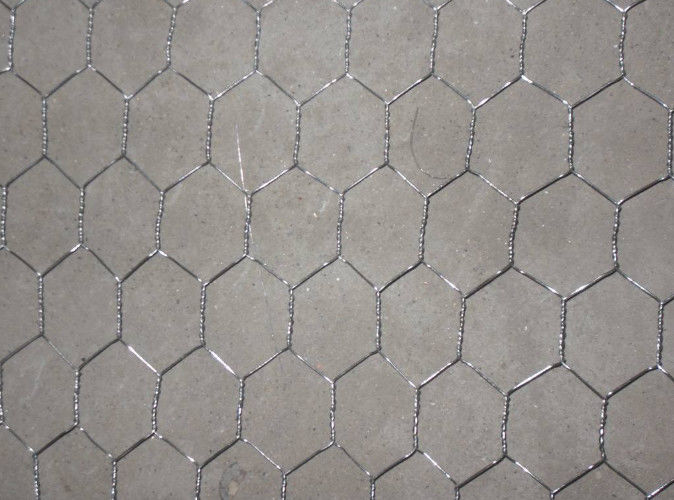 Hd Galvanized Stainless Steel Chicken Wire Mesh W2m